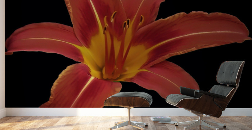 Roja Lily Wall Murals