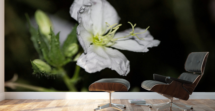 Fleurs power Wall Murals