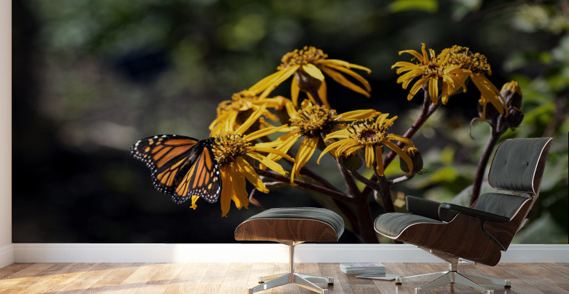 Distant Monarch: Butterfly on Yellow Flowers Wall Murals