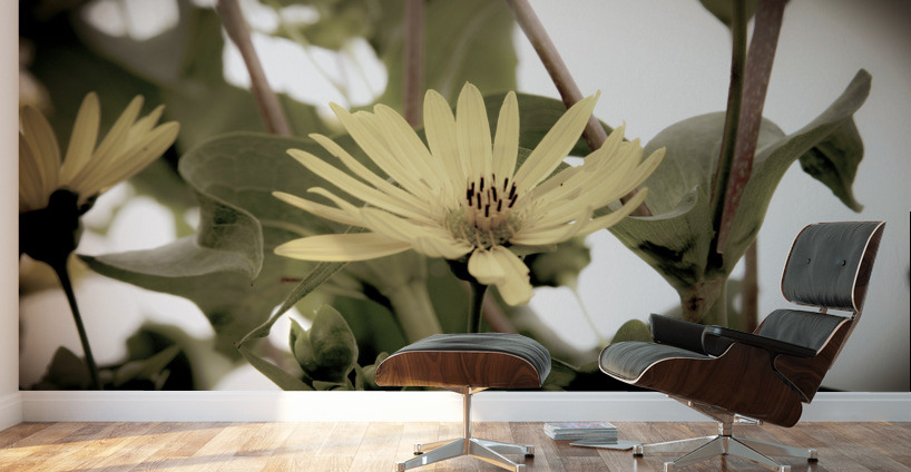 Nature reinventee : Decouvrez le tournesol en macro desature  Wall Murals