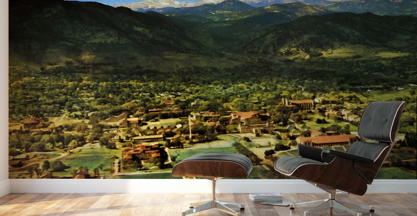 Vintage University of Colorado Campus Art Wall Murals