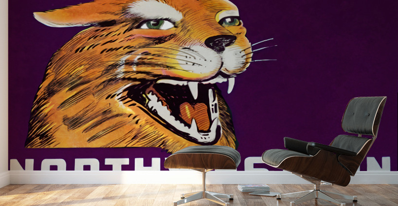 Vintage Northwestern Wildcat Art Wall Murals