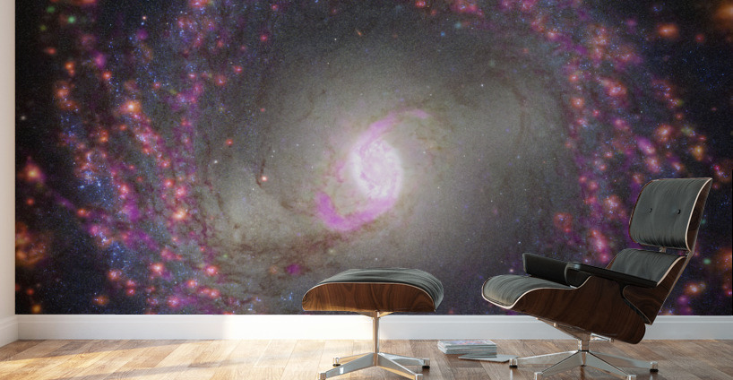 Multiwavelength View of NGC 3351 Wall Murals