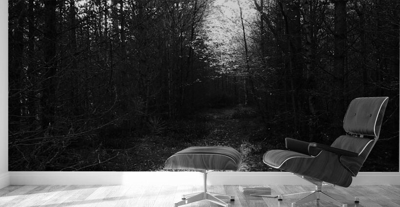  Autumns Suns Dark Kiss for the Scottish Highlands Wall Murals