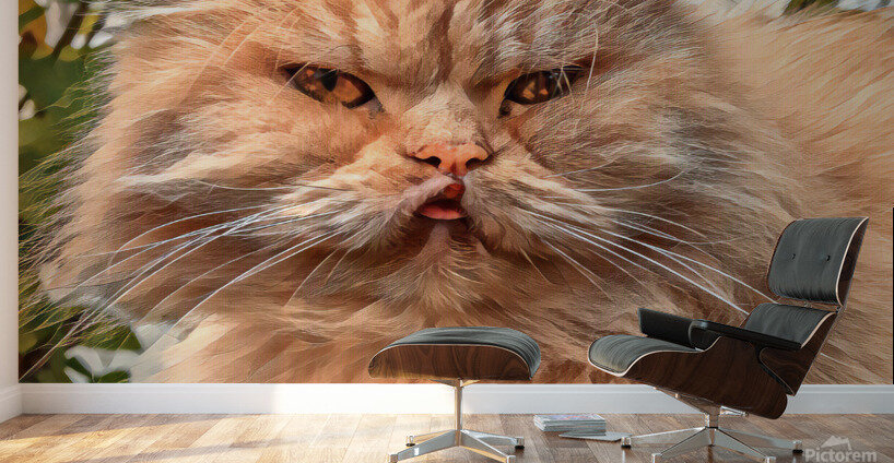 Just Look at that Face Wall Murals