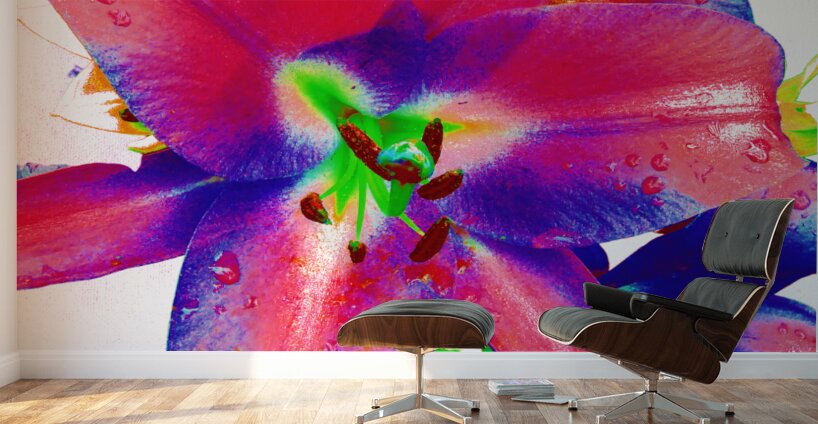 Vibrant Pop Art Lilies Wall Murals
