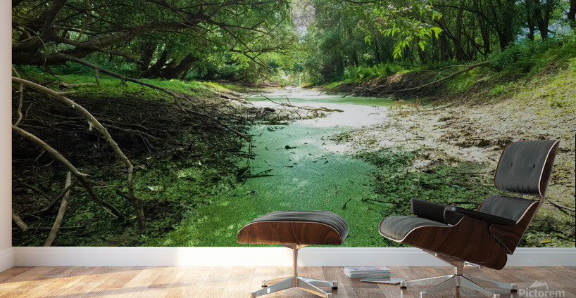 Dry Creek II Impression murale