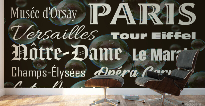Memoirs of Paris Wall Murals