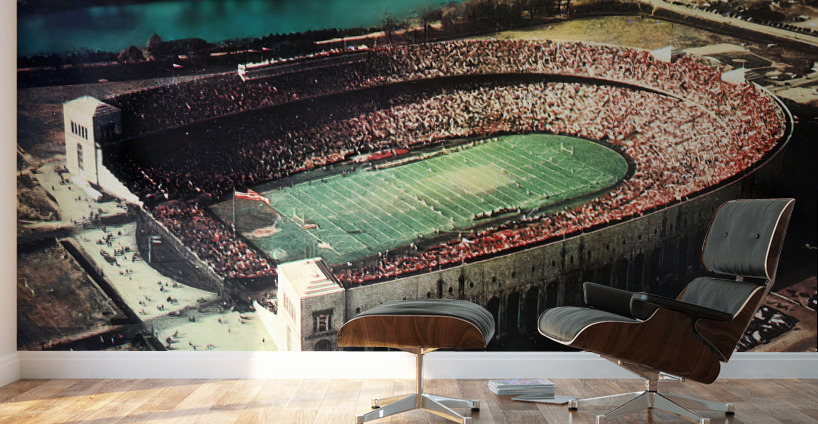 Vintage Ohio Stadium Gameday Art Wall Murals