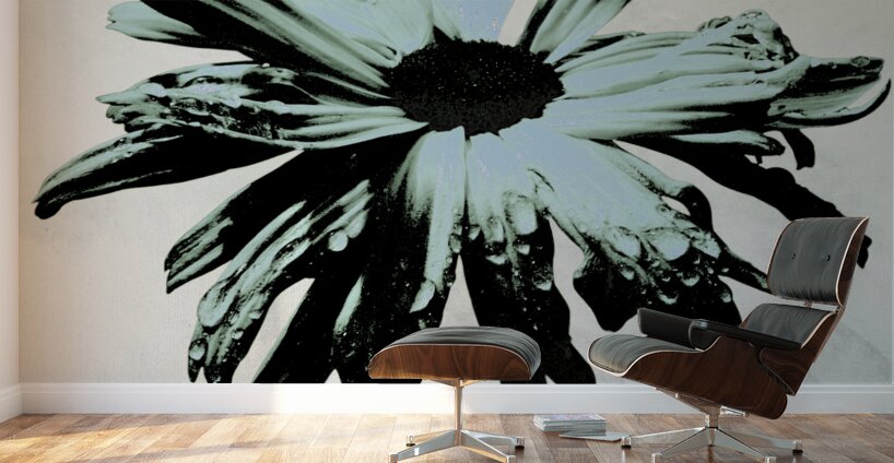 Dark Lime Daisy Flower on an Abstract Pale Background Wall Murals