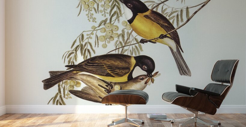 Blue Shining Flycatcher Piezorhynchus nitidus illustrated by Elizabeth Gould 1804–1841 for John Gould’s 1804-1881 Birds of Australia  Wall Murals