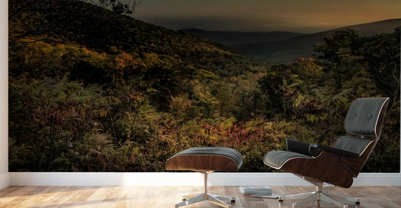 Blue Ridge Layers of Autumn Wall Murals