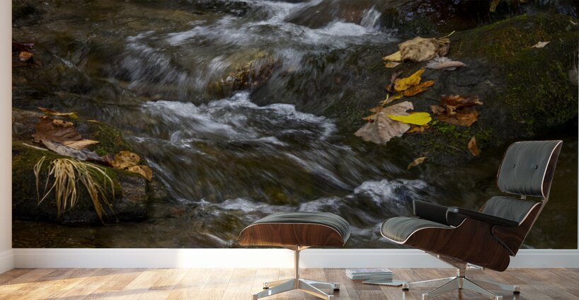 Blue Ridge Mountains River Art Wall Murals