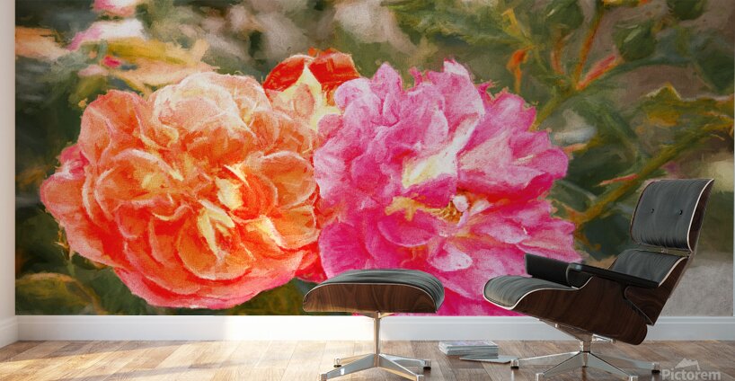 One Rose Bush - Different Colors Wall Murals