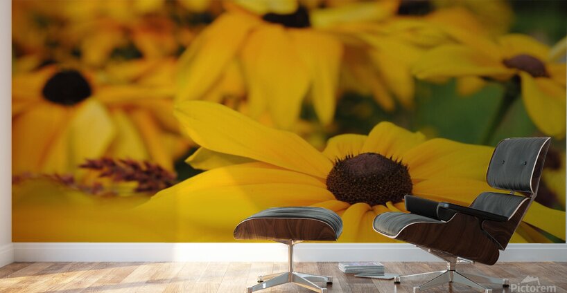 Wild Flowers Wall Murals