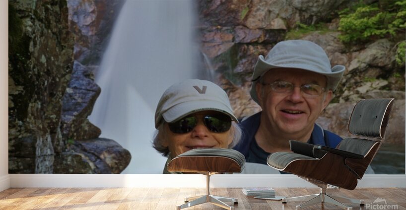  Glen Ellis  Wall Murals