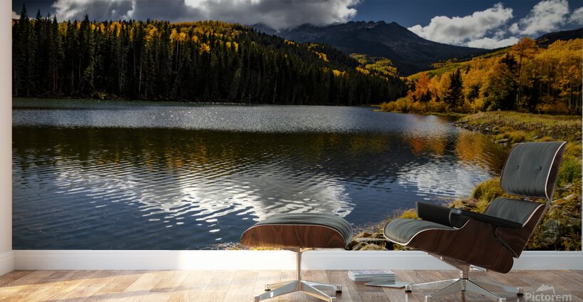 Aspen Heaven at Telluride Wall Murals