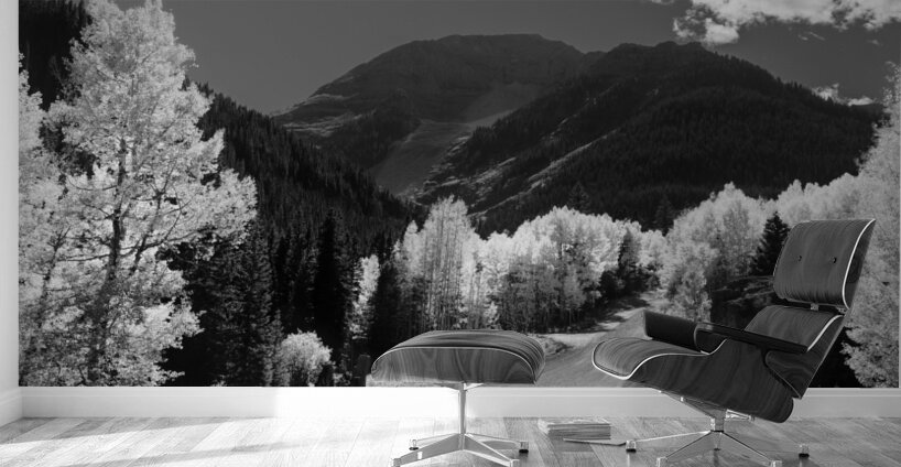 Colorado Back Roads Silhouette Wall Murals