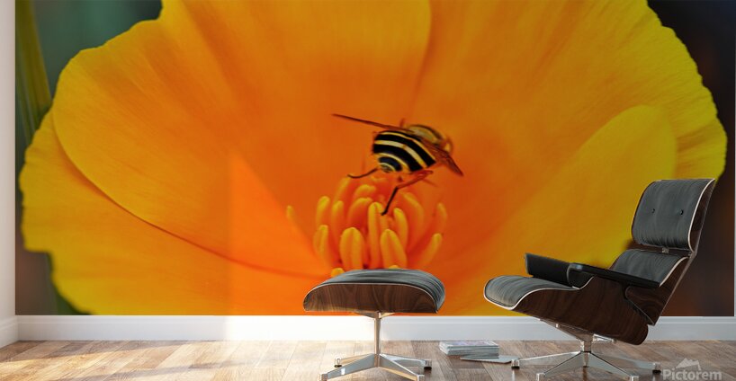 Flower with wasp Wall Murals