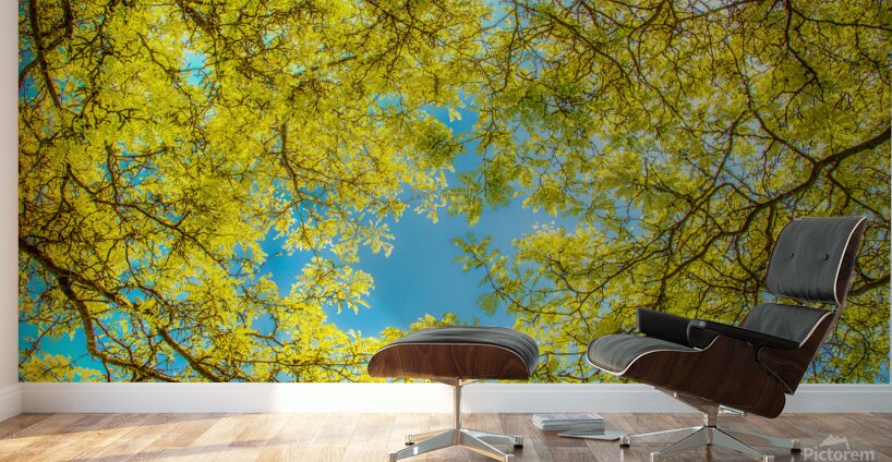 Love that Spring Green  Wall Murals