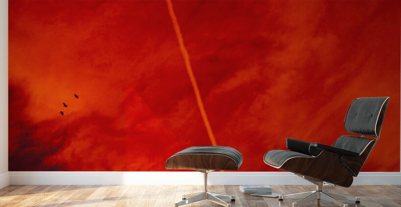 Wake of Fire Wall Murals