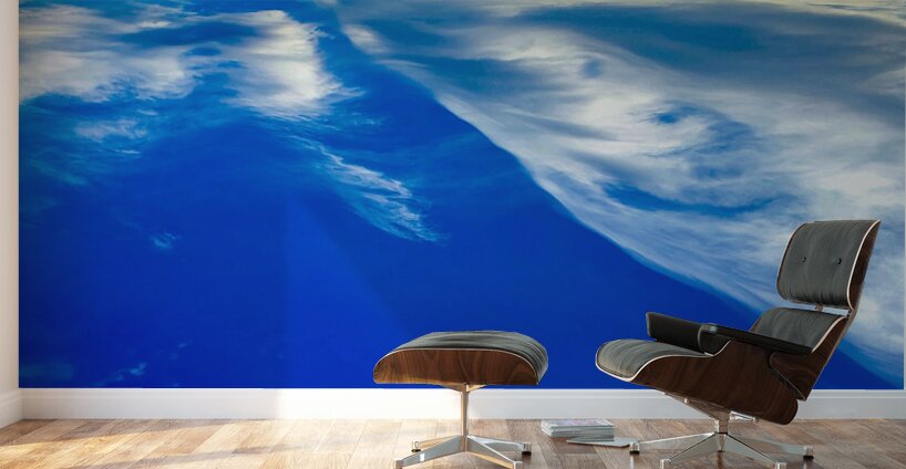 The Sky Is Also An Ocean Wall Murals