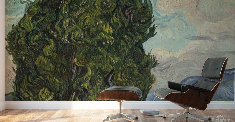 Vincent Van Gogh 0016 Wall Murals