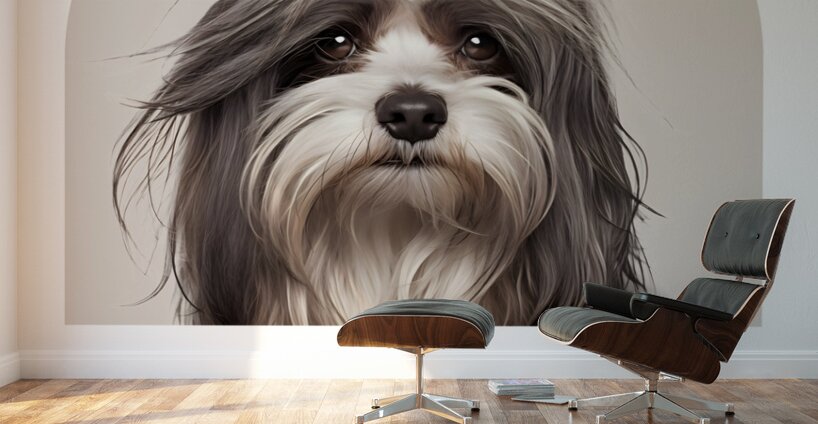 Havanese Informative Poster Wall Murals
