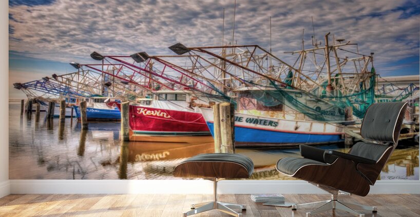 SKIMMERS Wall Murals