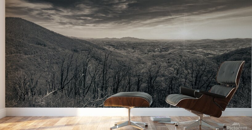 Oh Happy Day in the Mountains Wall Murals