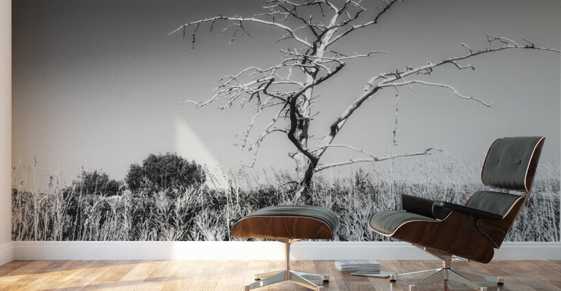 Solitaire Impression murale