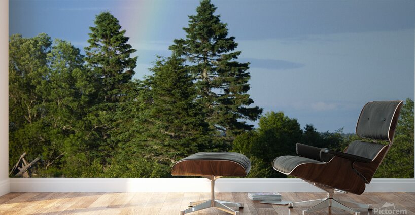 Rainbow by Old Truck in Field in Northern Maine Wall Murals