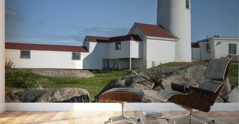Boulder Shaped Like Wave in Front of Eastern Point Lighthouse in Massachusetts Wall Murals