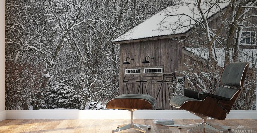 G14 Winter Serenity Wall Murals