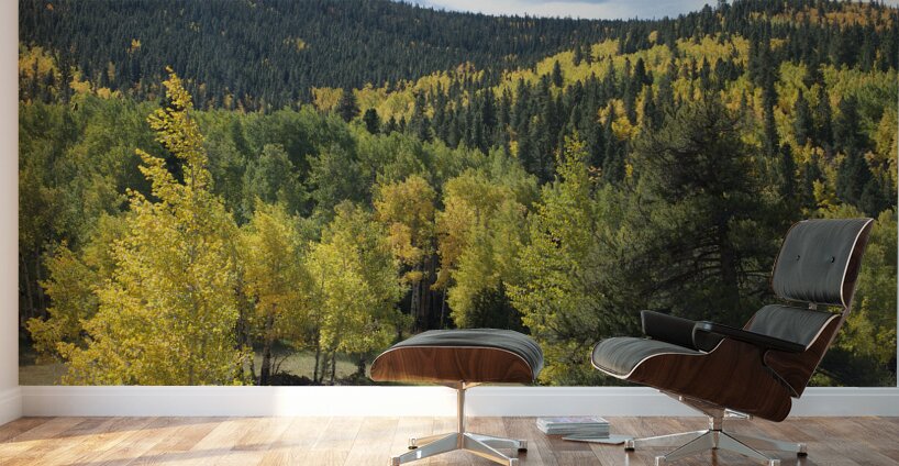 Wavy Fall Colors Wall Murals