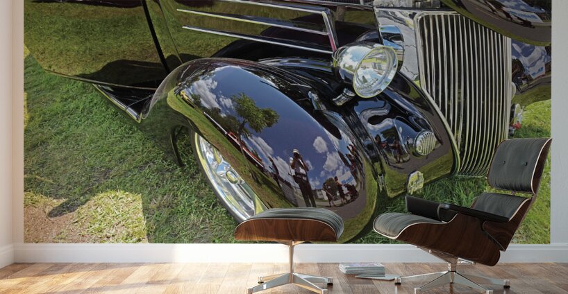 AUTO PORTRAIT 113 Wall Murals