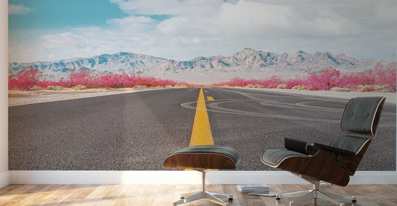 Road to Death Valley Wall Murals