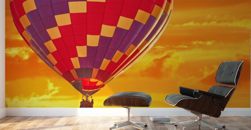 Hot Air Balloon at Sunset Wall Murals
