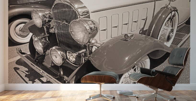 AUTO PORTRAIT 134 Wall Murals