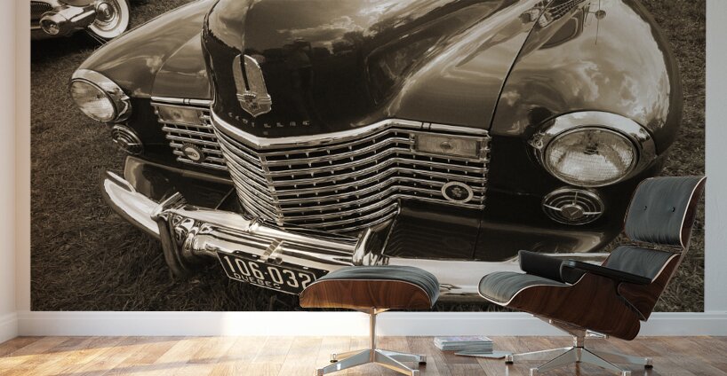 AUTO PORTRAIT 149 Wall Murals