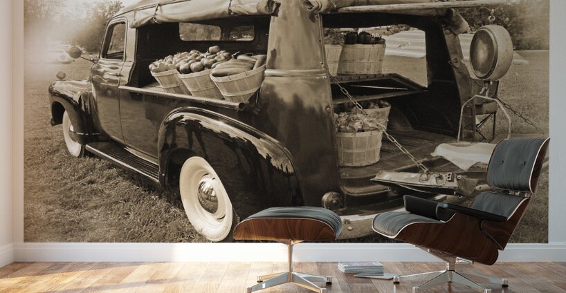 AUTO PORTRAIT 221 Wall Murals