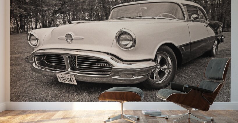 AUTO PORTRAIT 202 Wall Murals