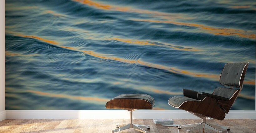 Blue Water Abstract Merritt Island National Refuge Sunset Florida X100 Wall Murals