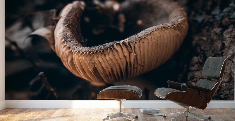 Mystical Fungi: Cup of Wonder ShrumCup Mushroom Wall Murals