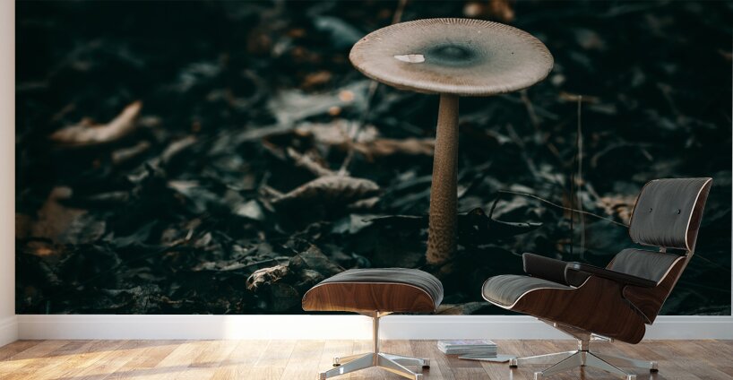 Mystical Fungi: Standing Tall The Majestic Tallish Mushroom Wall Murals