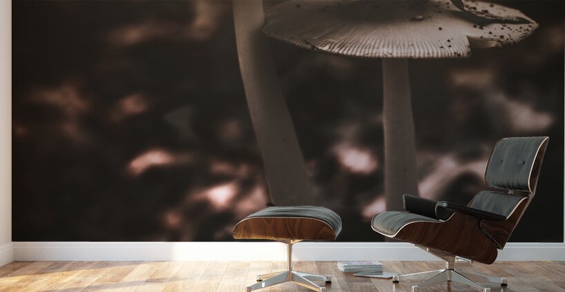 Mystical Fungi: Big Brother Shroom in the Woodland Realm Wall Murals