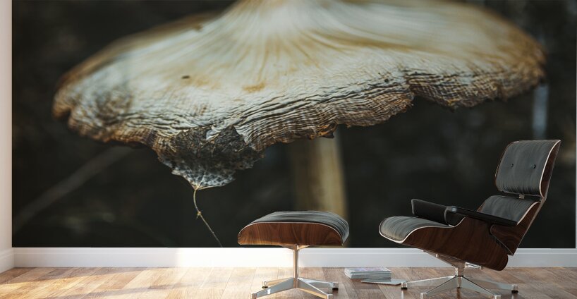 Montana Ranch Shroom: Saddlewood Mushroom Wall Murals