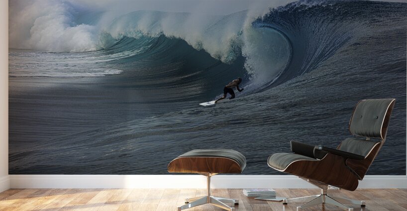 ACT 01363 Wall Murals