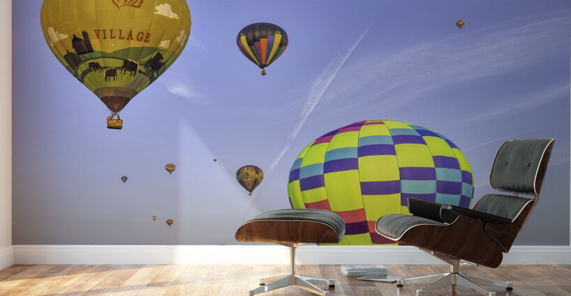 ACT 01355 Wall Murals