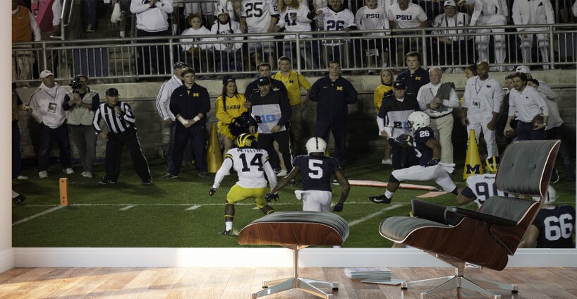 ACT 01378 Wall Murals